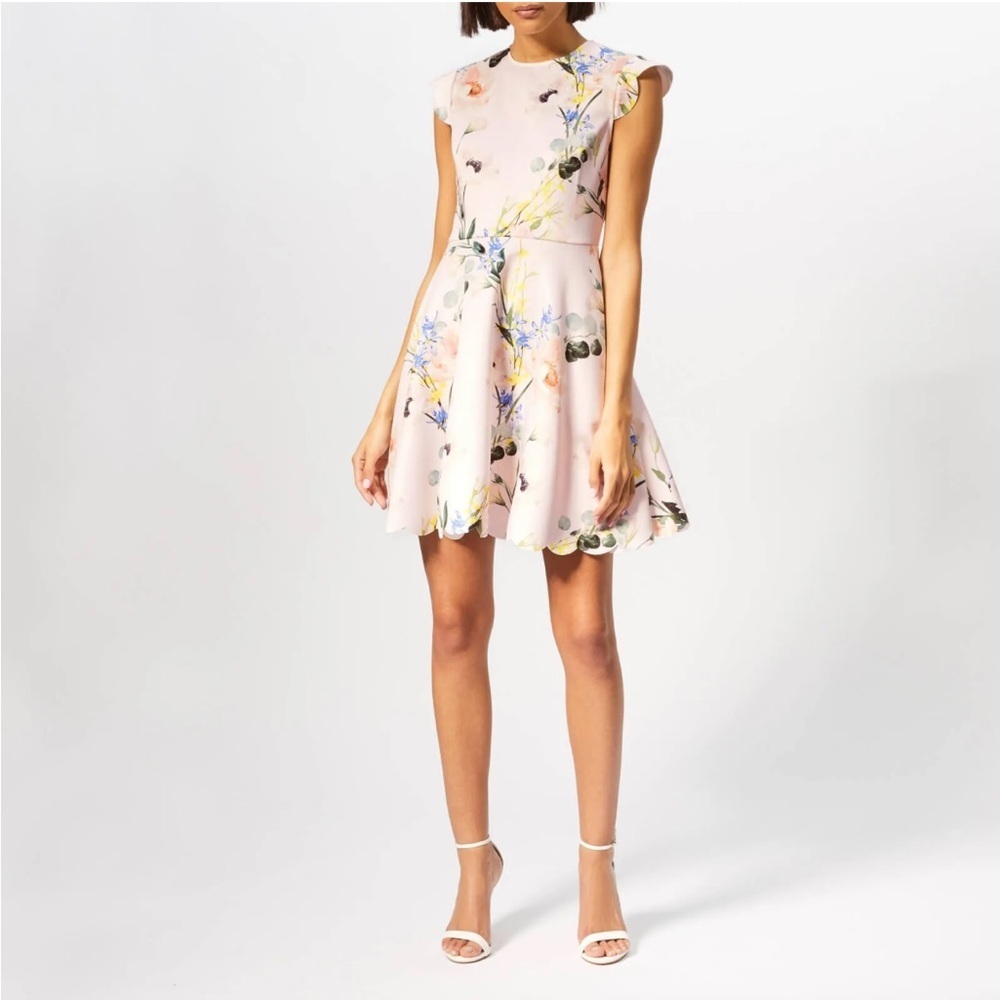 Ted Baker Karsali Elegance Scallop Skater Nude Pink Floral Cap Sleeve Dress 2 XS - Picture 4 of 16